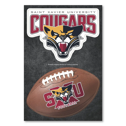Custom Car Magnets